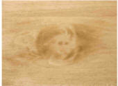 Wood Spirit - The image of a yound girl captured in wood.